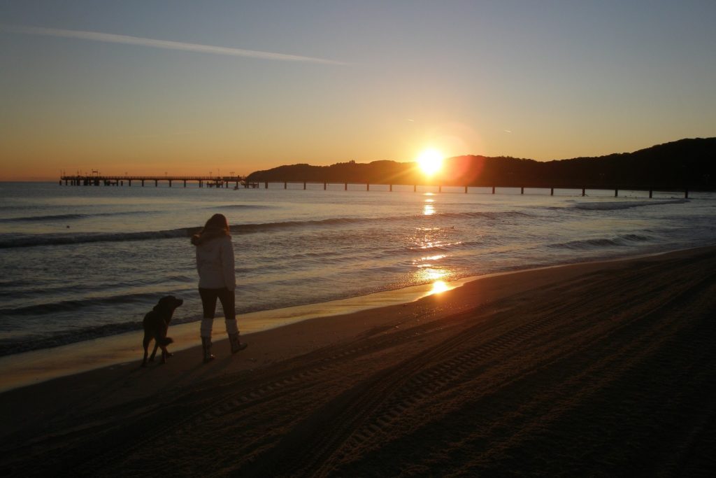 Spaziergänger mit Hund am Strand